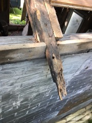 rafters